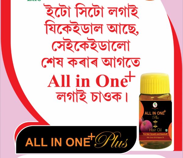 All In One Plus