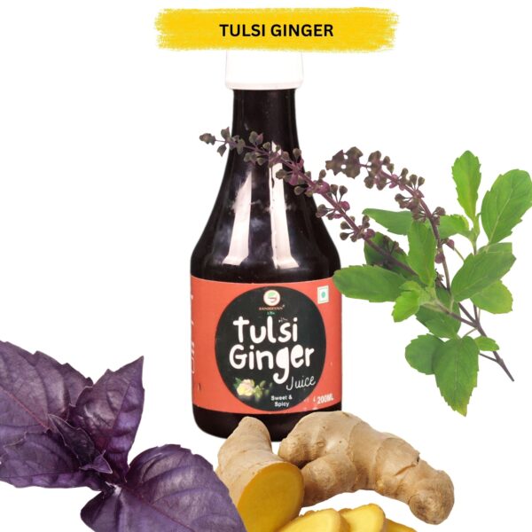 Tulshi Ginger Juice