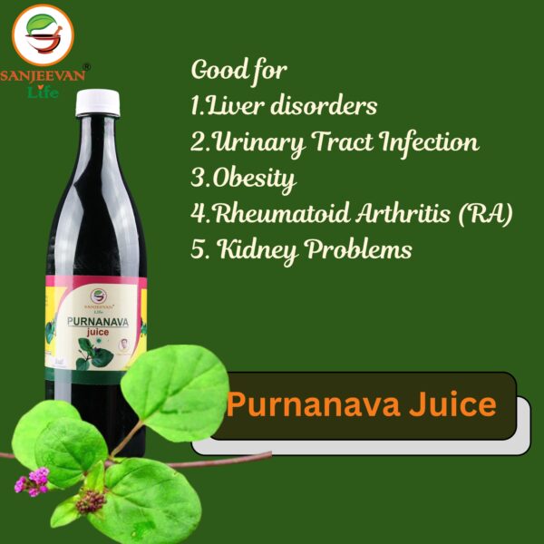 Purnanava Juice 2 btls