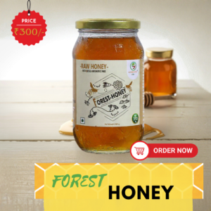 WILD HONEY 500GM