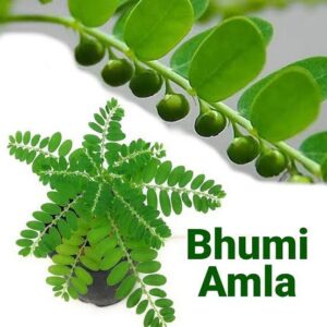 Bhumi Amla Juice  700ML